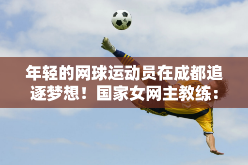 国际球员将